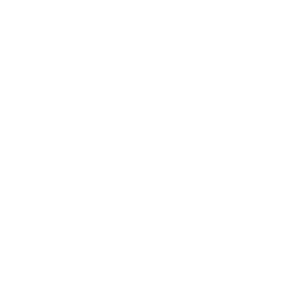 ダイナソー恐竜ランドセル 恐竜王国福井生まれのイクラボオリジナルランドセル